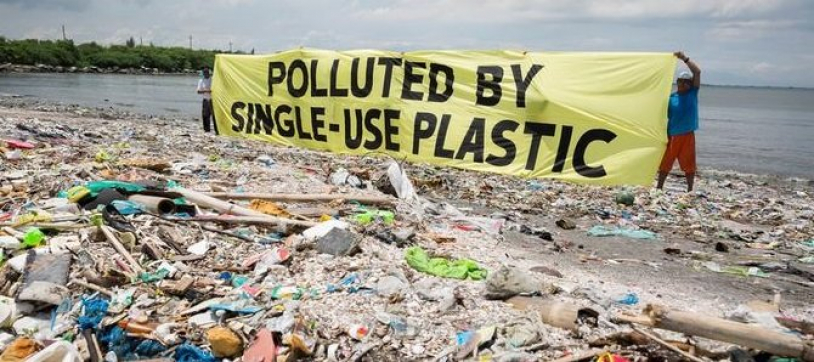 gallery/plastic-human-impact